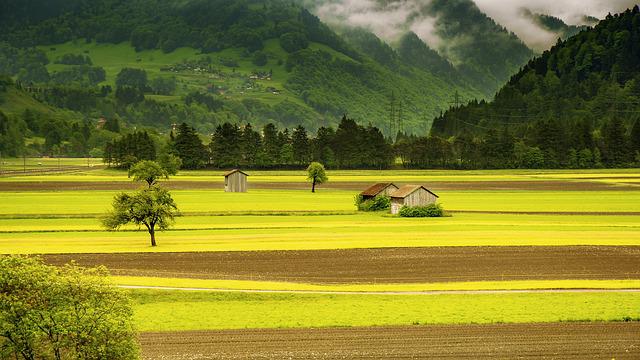 Quelle est la reglementation pour la vente d’un terrain agricole ?